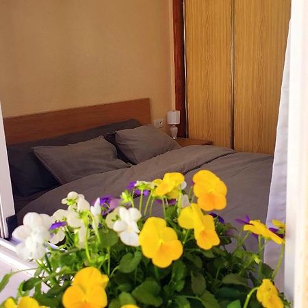 Isamar Apartamento Playa Del Cura تورّيفيِخا المظهر الخارجي الصورة