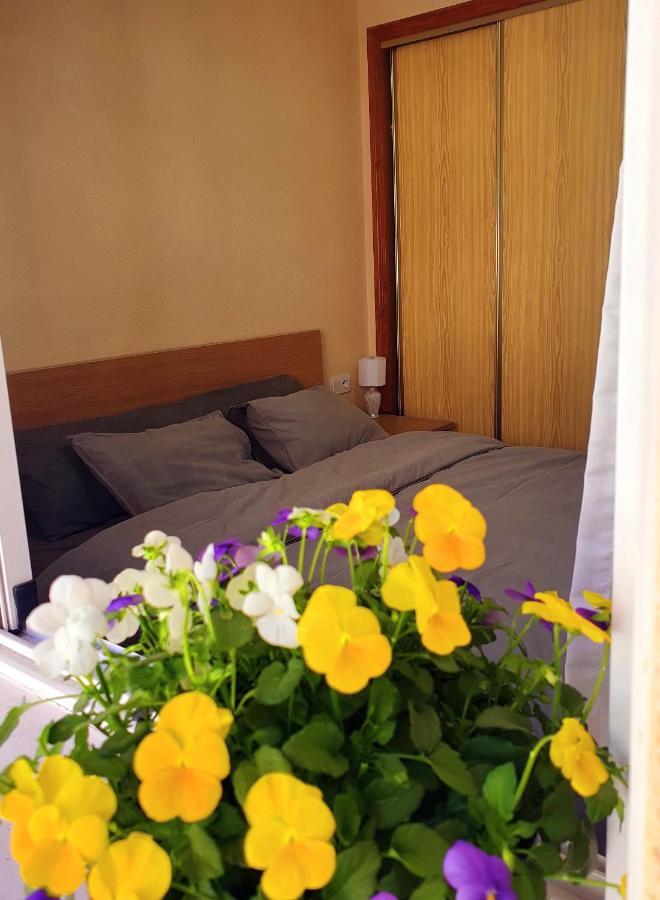 Isamar Apartamento Playa Del Cura تورّيفيِخا المظهر الخارجي الصورة